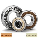 6301 2RS - Single RowBall Bearing