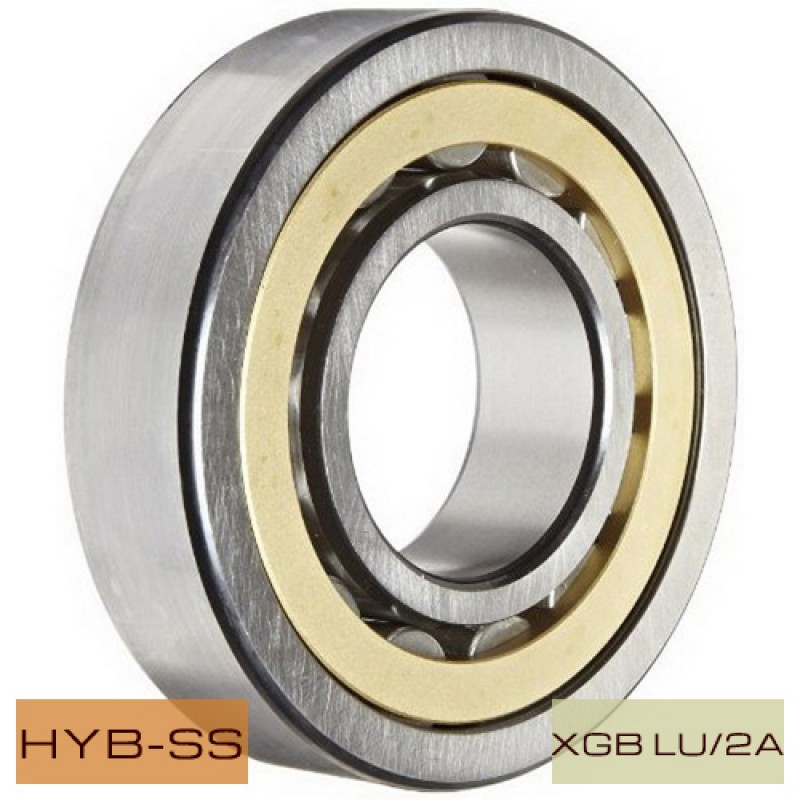 6220 2RS - Single RowBall Bearing