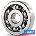 6304-2RS1(IND) Bearing
