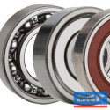 6304-2RS1(IND) Bearing