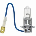 H3 12V 100W PK22S - Halogen Bulb